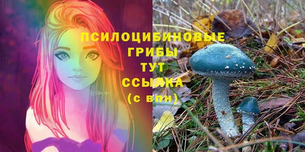 амфетамин Козельск