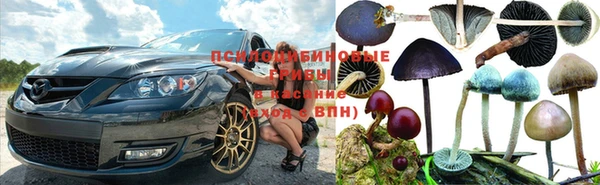 первитин Козловка