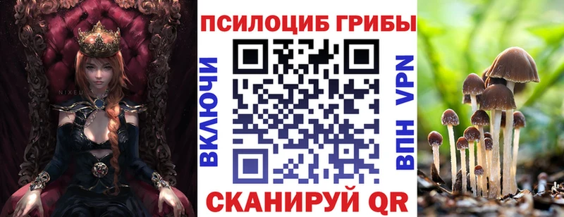 Купить  Грайворон  Псилоцибиновые грибы Magic Shrooms 