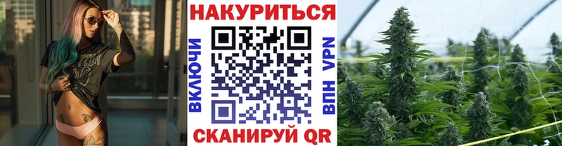 Купить  Грайворон  Шишки марихуана THC 21% 